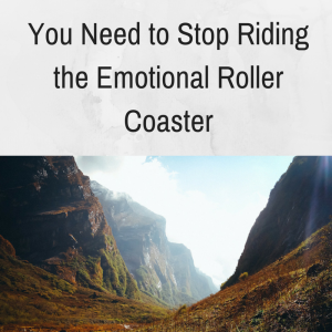 Stop Riding the Emotional Roller Coaster, ups and downs, network marketing business