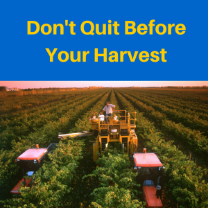 Don't quit before your harvest, galatians, Galatians 6:9
