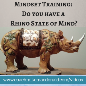Mindset Training Do you have a Rhino State of Mind mindset tips, business tips, success mindset, rhinoceros success, rhinoceros success book, rhinoceros success summary, rhinoceros success by scott alexander, rhinoceros success scott alexander, rhinoceros success ebook, success mindset, mindset to success, the success mindset, mindset for success,